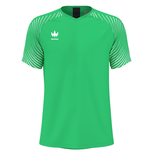 фото Вратарская футболка Primera EVOLUTION GK 141412-330 зеленая каталог
